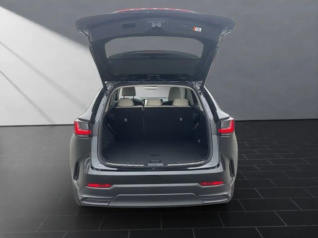 Lexus NX Executive Line