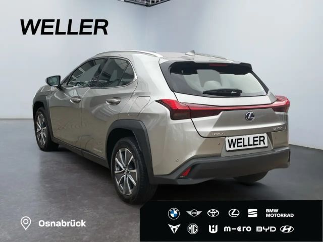 Lexus UX *Bi-LED*Leder*4x SHZ*el Sitze*Kamera*ACC*