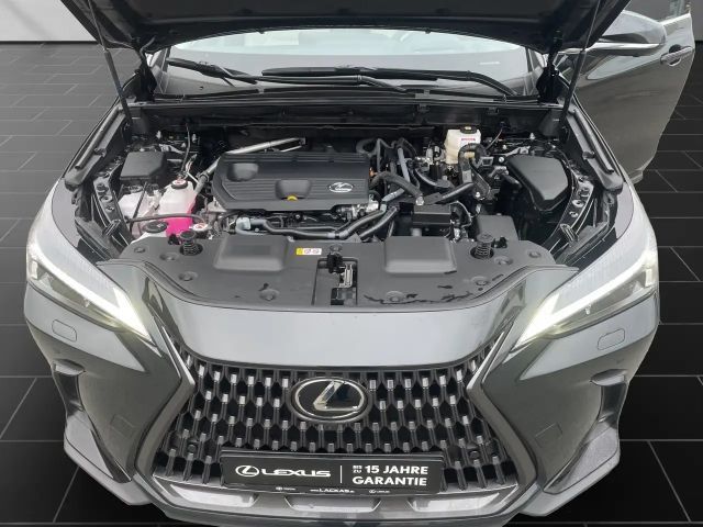Lexus NX Executive Line