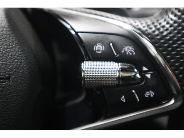 Skoda Octavia 4x4 Combi RS