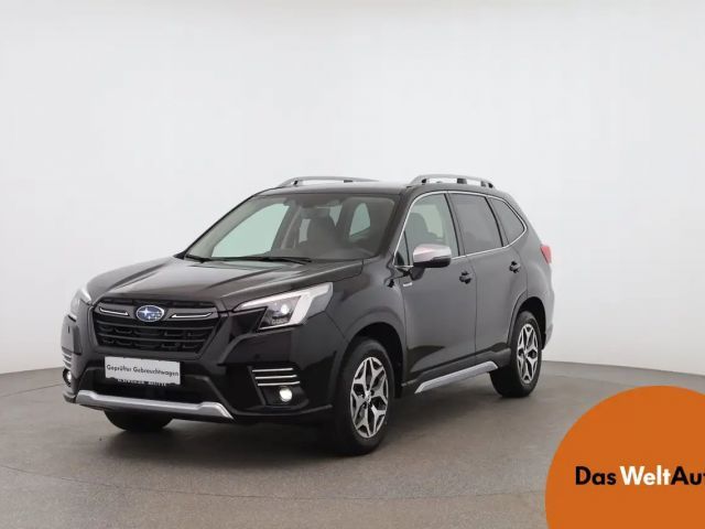Subaru Forester Comfort