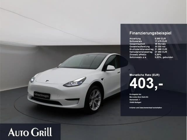 Tesla Model Y AWD Dual Motor