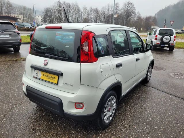 Fiat Panda Base Hybrid 1,0 (sehr gepflegt, 12Monate Garantie)