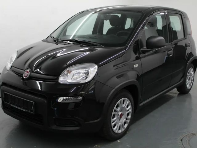 Fiat Panda 1.0 GSE DAB+PDC+5 Sitze!