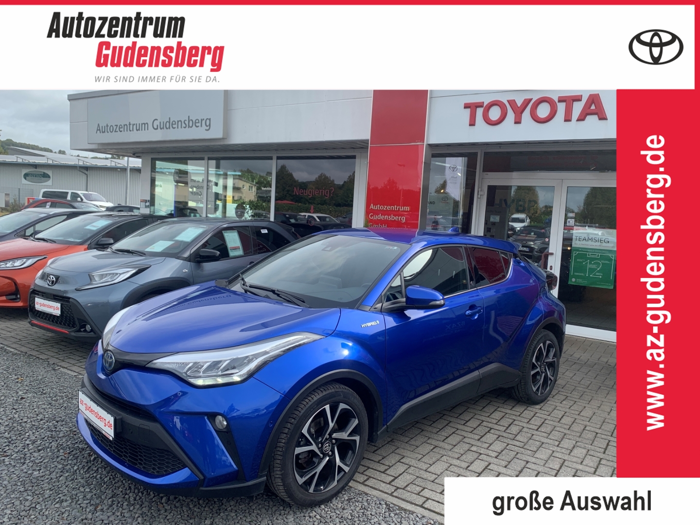 Toyota C-HR 5-deurs Basis