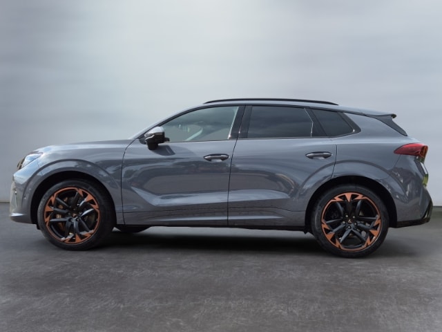 Cupra Terramar 2.0 TSI VZ