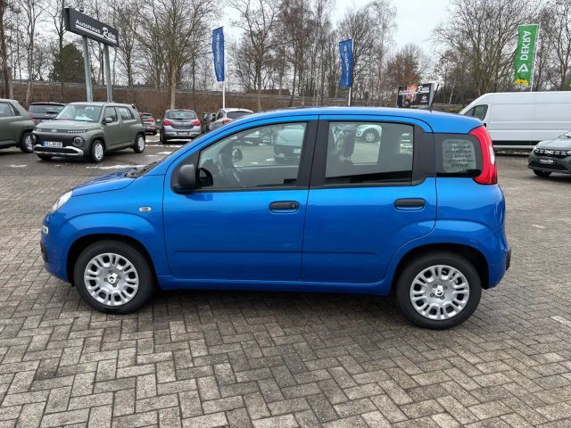 Fiat Panda Icon