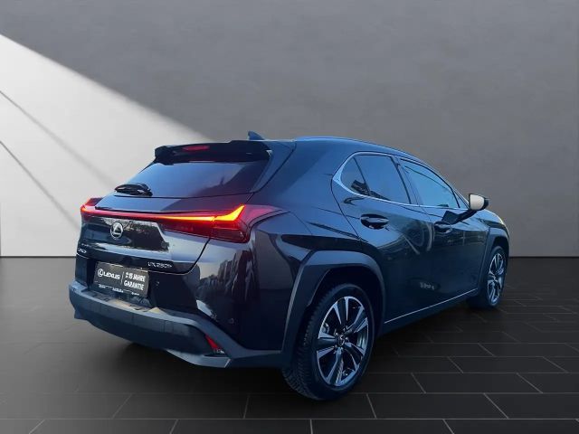 Lexus UX 250h