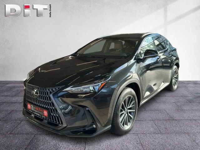 Lexus NX Executive Line