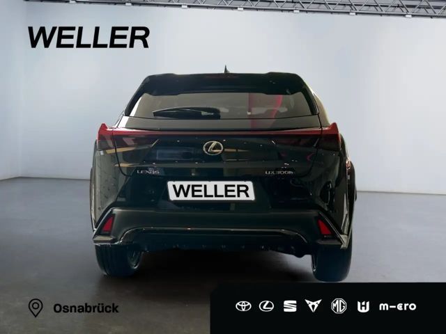 Lexus UX F Sport Sport