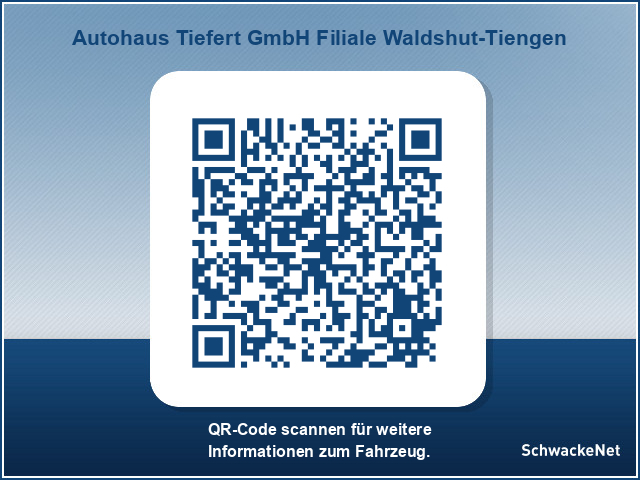 Toyota Corolla Team D Technik Touring