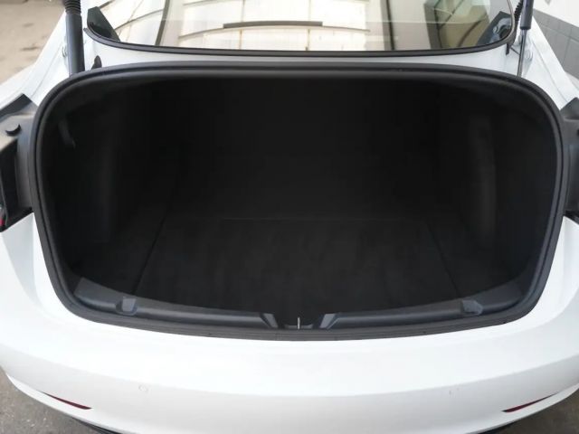 Tesla Model 3 Performance