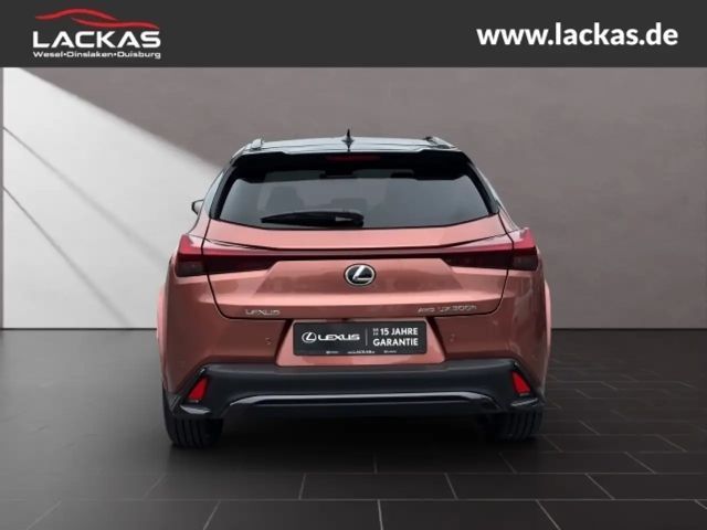 Lexus UX 250h F Sport Sport