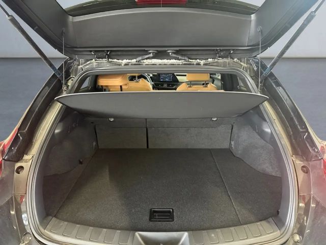 Lexus UX 250h F Sport Sport