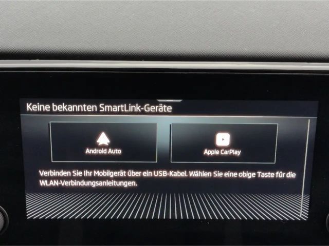 Skoda Scala Essence TSI*DSG LED SHZ Tempo digCockp PDC