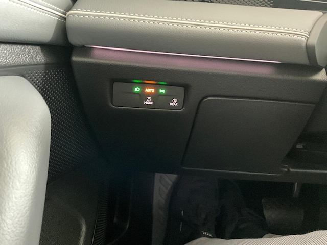 Volkswagen Passat PASSAT    1.5BUS  BT110eTSID7F