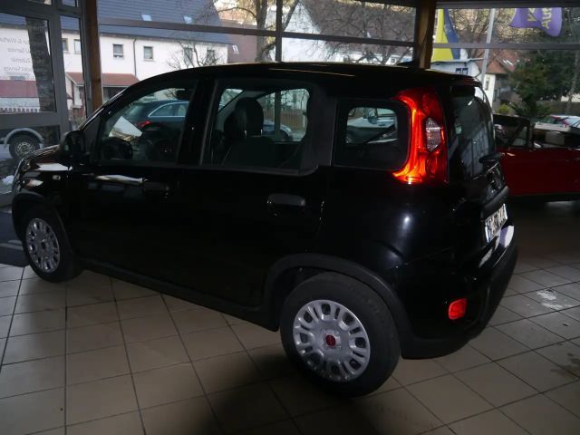 Fiat Panda Base Tageszulassung