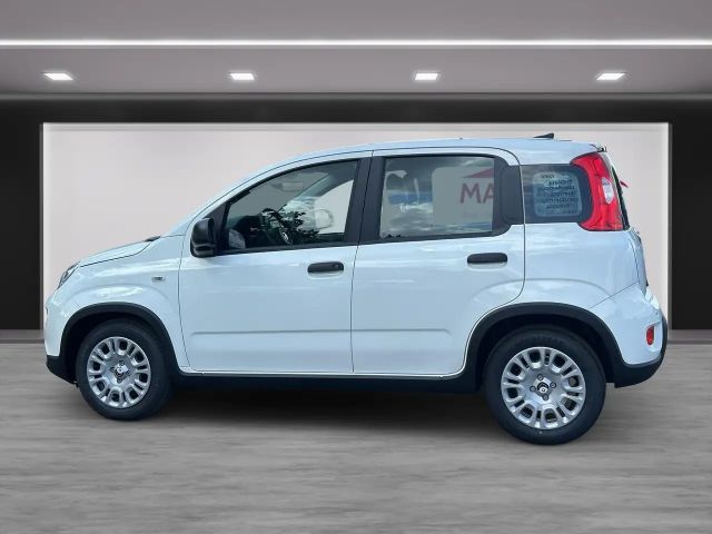 Fiat Panda Pandina 1.0 GSE