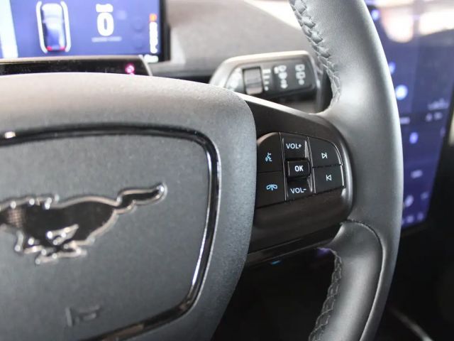 Ford Mustang Mach-E 99 kWh Top Ausstattung + Panoramadach