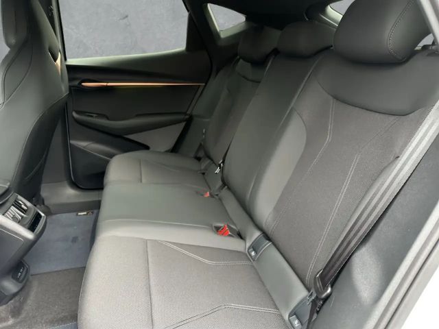 Cupra Tavascan Endurance