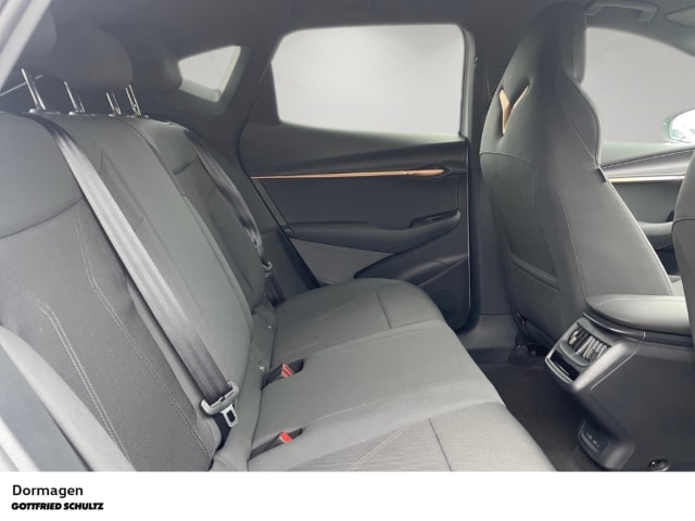 Cupra Tavascan Endurance