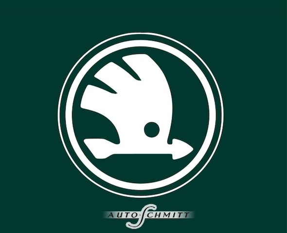 Skoda Fabia 1.0 TSI Ambition