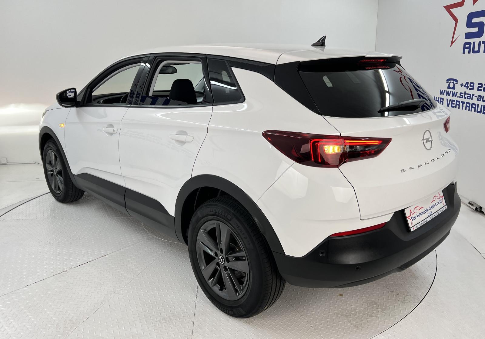 Opel Grandland X Grandland X Busi. Ed.*1,2-96kW*NAVI*SH*TEMP*EU6d