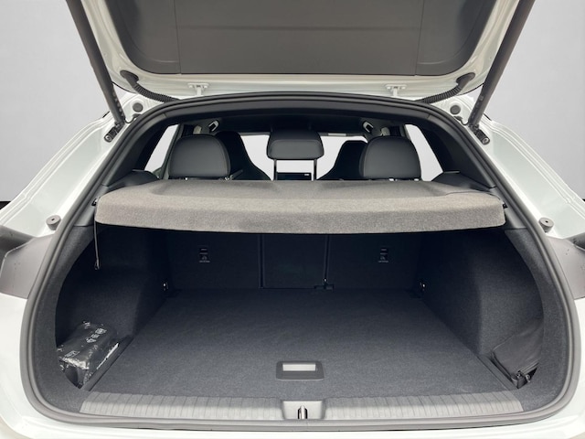 Cupra Terramar 2.0 TSI VZ