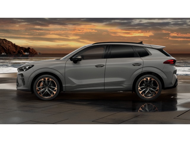 Cupra Terramar 2.0 TSI VZ