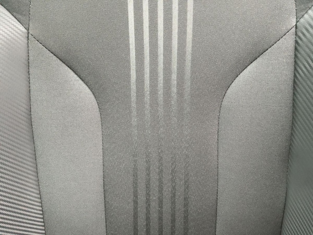 Skoda Kamiq 1.0 TSI Monte Carlo