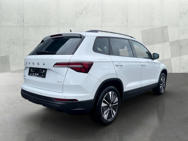 Skoda Karoq 2.0 TDI 4x4 Tour
