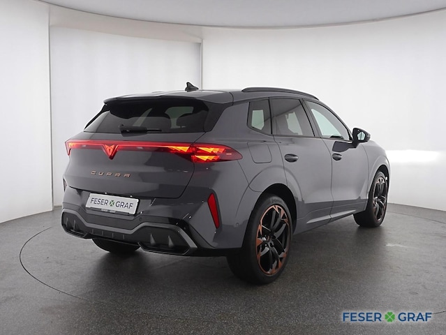 Cupra Terramar 2.0 TSI VZ