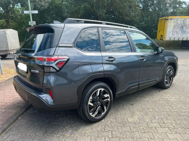 Subaru Forester Exclusive