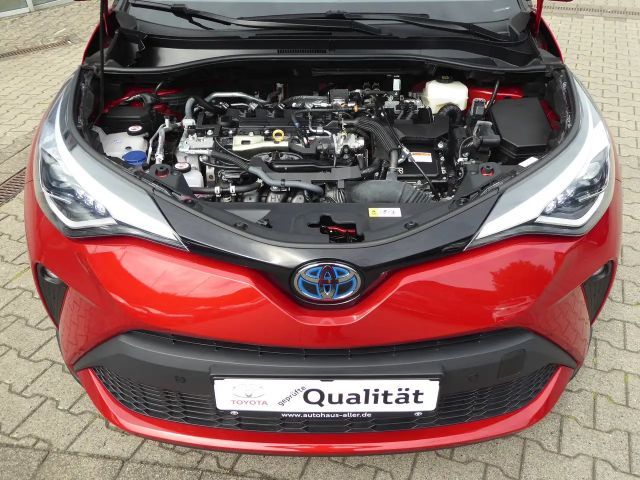 Toyota C-HR Team D