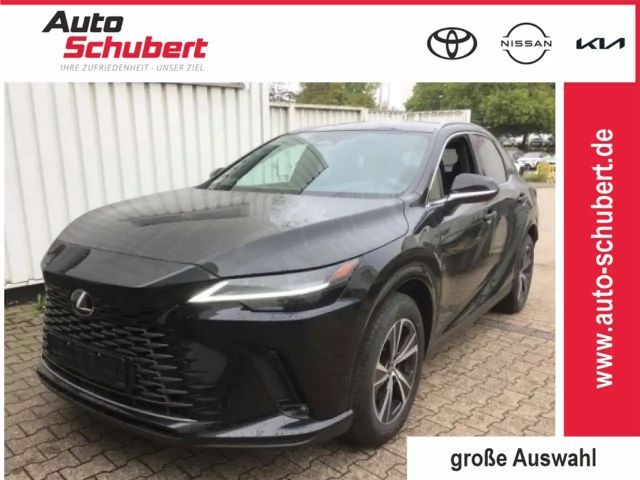 Lexus RX-Serie Business Line