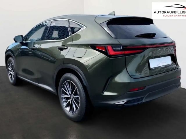 Lexus NX Business Line