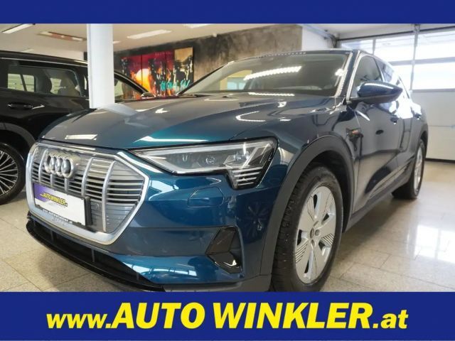 Audi e-tron Business Quattro