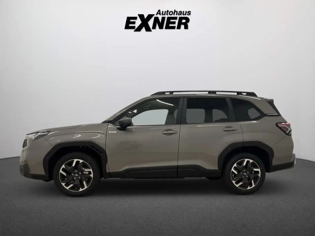 Subaru Forester 2.0ie - viel,viel Zubehör !!! AHK - Winterräder