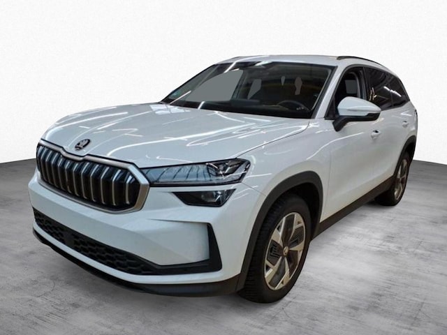 Skoda Kodiaq 2.0 TDI 4x4 Selection