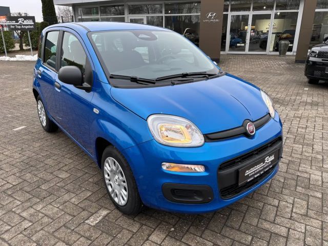 Fiat Panda Icon