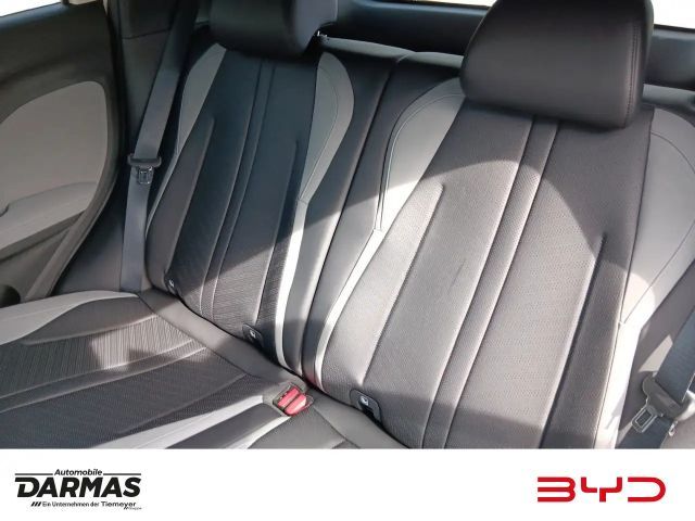 BYD Dolphin Comfort