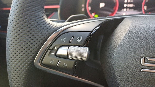 Skoda Kamiq ANSCHLUSSGARANTIE, PANORAMA, KAMERA