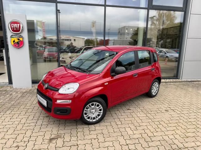 Fiat Panda 1.0 Hybrid+Komfortpaket+5Sitz+Parksensoren