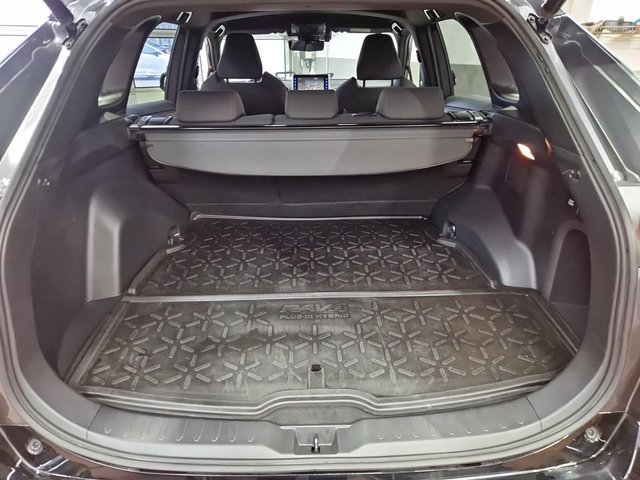 Toyota RAV4 5-deurs Plug-in Technik