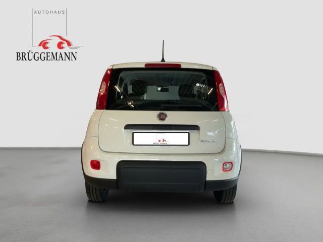 Fiat Panda 1,0 Hybrid  Allwetterreifen/Klima/DAB