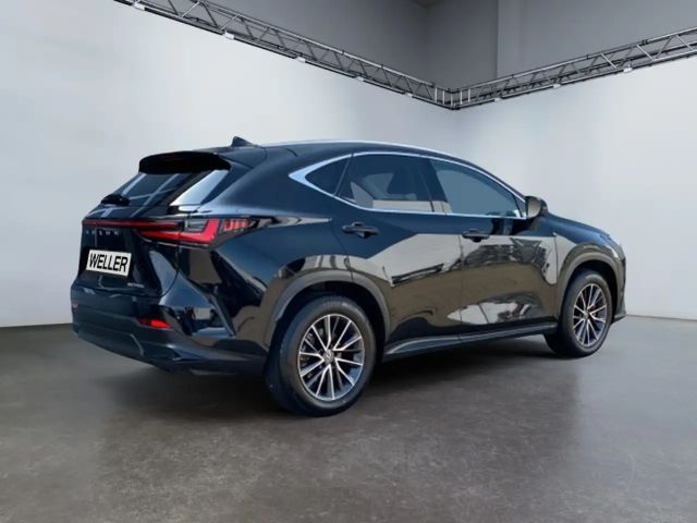 Lexus NX Executive Line