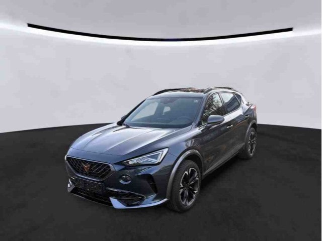 Cupra Formentor 2.0 TSI DSG