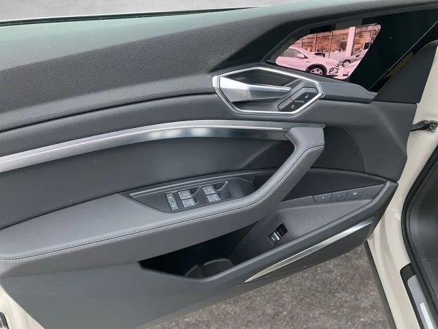 Audi e-tron 55 Business Quattro