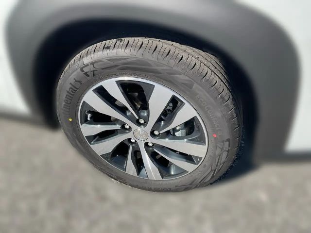 Suzuki S-Cross Flash