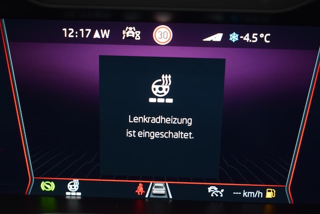 Skoda Kodiaq 2.0 TSI 4x4 RS